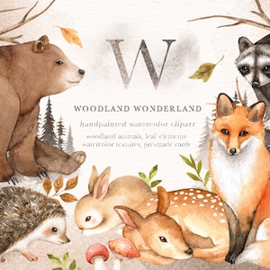 Woodland Wonderland Watercolor Clip Art, Woodland Animals, Kids Clipart,Boho Clipart, Nursery Decor, Animals clipart, fox deer rabbit bear