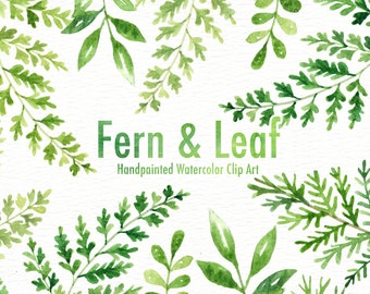 Fern & Leaf Watercolor clipart,  Forest Leaves Clipart, Green Leaf Branches, Botanical plants, Green clip art, Wedding Invitation Clip Art