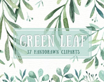 Clipart aquarelle feuille verte, fleur aquarelle, feuilles aquarelles, clipart feuille, clipart de mariage, invitation de mariage, couronne, vert