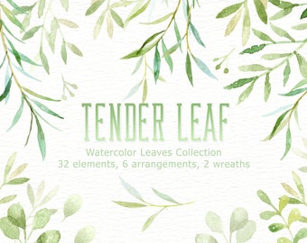 Tender Leaf Watercolor clipart,watercolor flower, Watercolour Leaves, Leaf clipart, Wedding Clip Art, Wedding invitation, wreath, soft green