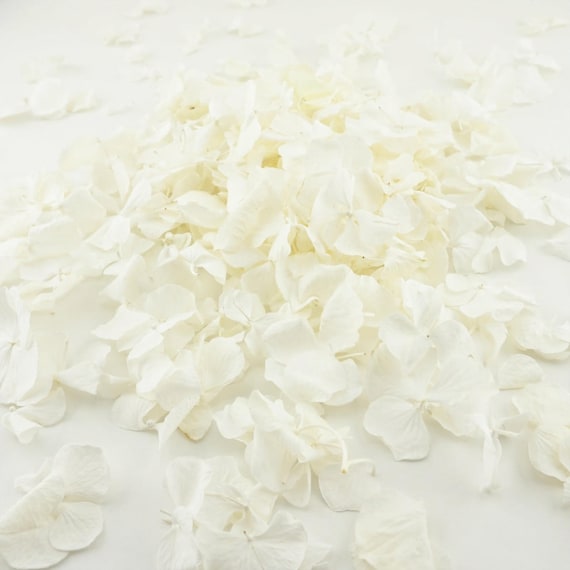 Eco-Friendly Freeze-Dried Petals | Flower Petals | 100% Natural | Wedding Confetti | Biodegradable | Ivory