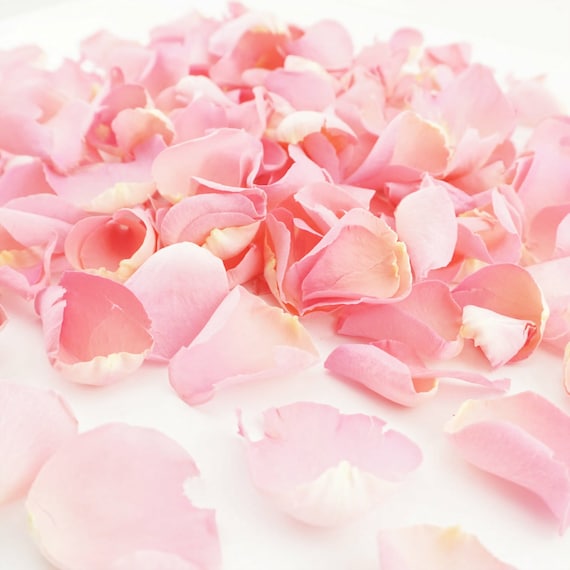PINK Rose Petal Natural Biodegradable Wedding Confetti Dried Petal Bags  PACKETS