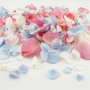 Eco-Friendly Freeze Dried Petal Confetti Dried Flower Petals 100% Natural Wedding Confetti Biodegradable Summer Fete Pink, Ivory, Blue