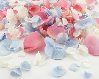 Freeze Dried Rose Petals - Eco-Friendly Natural Wedding Confetti, Biodegradable, Pink, Blue, White