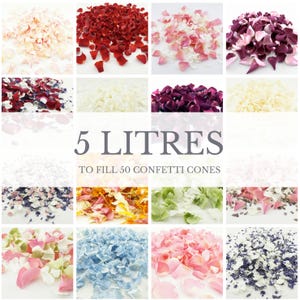 May include: Assortment of 5 liters of flower petals in various colors, including white, red, pink, purple, blue, green, and orange. The petals are arranged in a grid pattern and are ideal for wedding confetti or other special events.  5 LITRES TO FILL 50 CONFETTI CONES