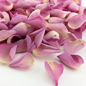 Eco-Friendly Freeze Dried Rose Petal Confetti Dried Flower Petals 100% Natural Wedding Confetti Biodegradable Sugar Candy Lilac