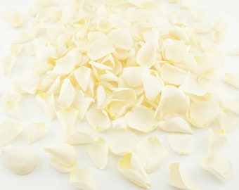 Eco-Friendly Freeze Dried Rose Petal Confetti Dried Flower Petals 100% Natural Wedding Confetti Biodegradable Pop the Champagne Cream Ivory