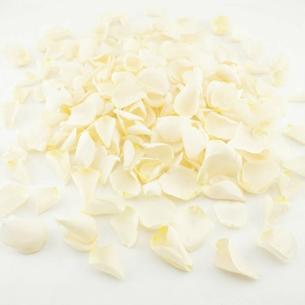 Eco-Friendly Freeze Dried Rose Petal Confetti Dried Flower Petals 100% Natural Wedding Confetti Biodegradable Pop the Champagne Cream Ivory