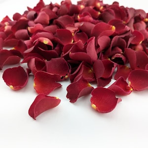 Eco-Friendly Petite Freeze Dried Rose Petal Confetti Dried Flower Petals 100% Natural Wedding Confetti Biodegradable Sweet Cherry Deep Red