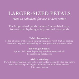 Eco-Friendly Freeze-Dried Petals | Flower Petals | 100% Natural | Wedding Confetti | Biodegradable | Ivory image 5