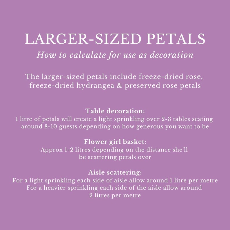 Eco-Friendly Freeze-Dried Petals | Flower Petals | 100% Natural | Wedding Confetti | Biodegradable | Ivory image 5