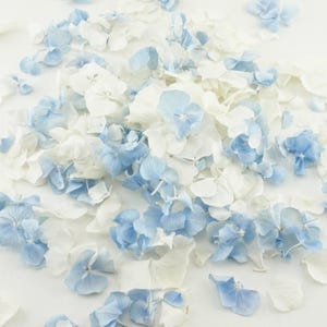 Eco-Friendly Freeze Dried Petal Confetti Dried Flower Petals 100% Natural Wedding Confetti Biodegradable Wistful, Ivory, Blue