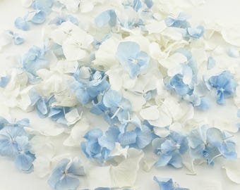 Eco-Friendly Freeze-Dried Petals | Flower Petals | 100% Natural | Wedding Confetti | Biodegradable | Wistful Ivory Blue