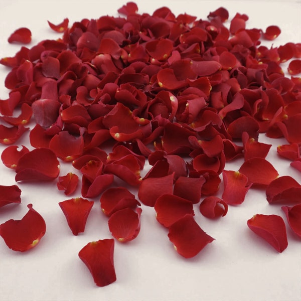 Eco-Friendly Petite Freeze Dried Rose Petal Confetti Dried Flower Petals 100% Natural Wedding Confetti Biodegradable Sweet Cherry Deep Red
