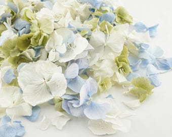 Eco-Friendly Freeze-Dried Petals | Flower Petals | 100% Natural | Wedding Confetti | Biodegradable | Symphony Ivory Green Blue