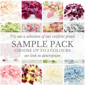 Eco-Friendly Freeze-Dried Petals | Flower Petals | 100% Natural | Wedding Confetti | Biodegradable | Ivory image 7