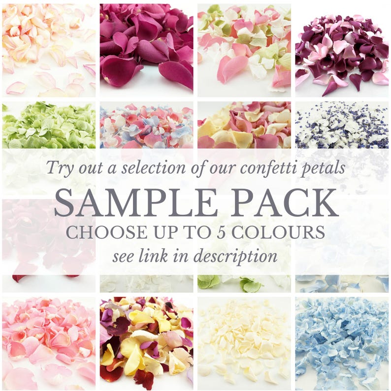 Eco-Friendly Freeze-Dried Petals | Flower Petals | 100% Natural | Wedding Confetti | Biodegradable | Ivory image 7