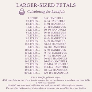 Eco-Friendly Freeze-Dried Petals | Flower Petals | 100% Natural | Wedding Confetti | Biodegradable | Ivory image 4