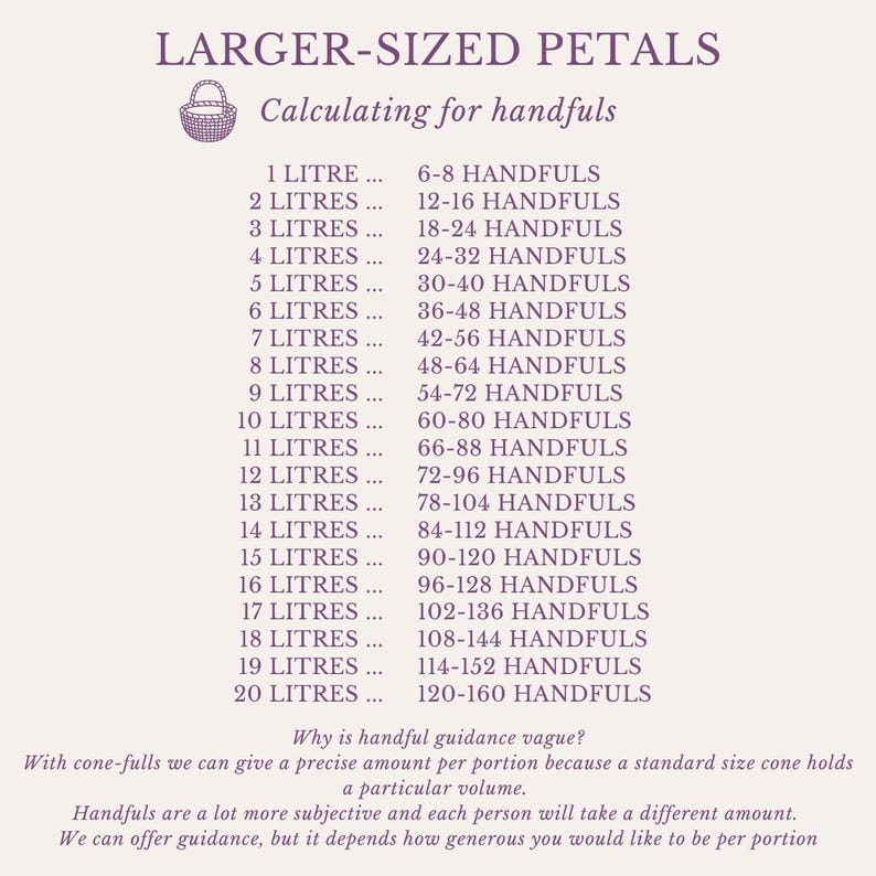 Eco-Friendly Freeze-Dried Petals | Flower Petals | 100% Natural | Wedding Confetti | Biodegradable | Ivory image 4