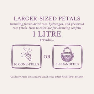 Eco-Friendly Freeze-Dried Petals | Flower Petals | 100% Natural | Wedding Confetti | Biodegradable | Ivory image 2
