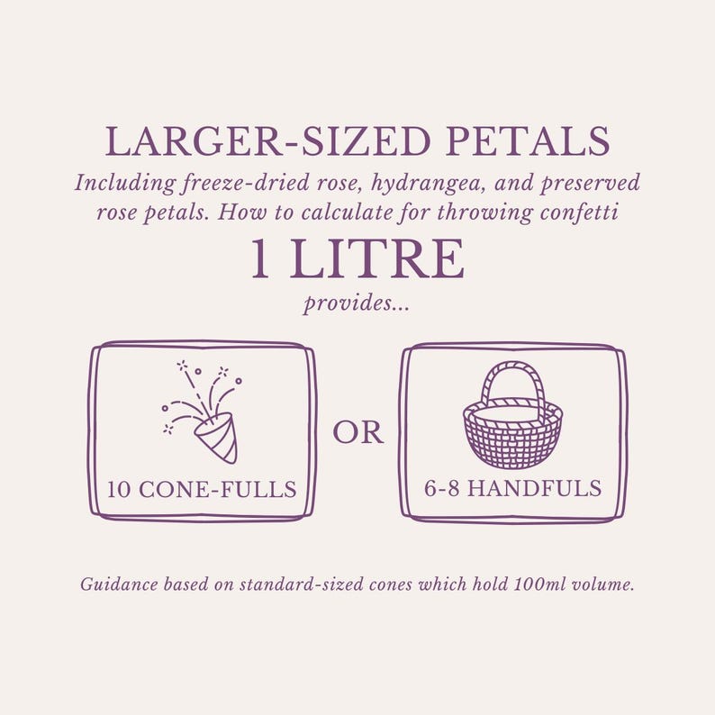 Eco-Friendly Freeze-Dried Petals | Flower Petals | 100% Natural | Wedding Confetti | Biodegradable | Ivory image 2