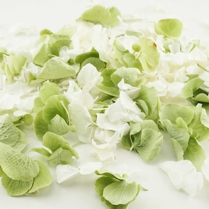 Eco-Friendly Freeze Dried Petal Confetti Dried Flower Petals 100% Natural Wedding Confetti Biodegradable Hint of Mint, Ivory, Green