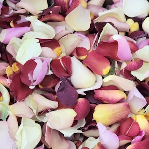 B-Grade Imperfect Discount Eco-Friendly Freeze Dried Rose Petal Confetti Dried Flower Petals 100% Natural Wedding Confetti Biodegradable