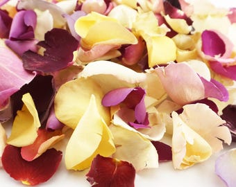 B-Grade Imperfect Discount | Eco-Friendly Freeze-Dried Rose Petals | Flower Petals | 100% Natural | Wedding Confetti | Biodegradable
