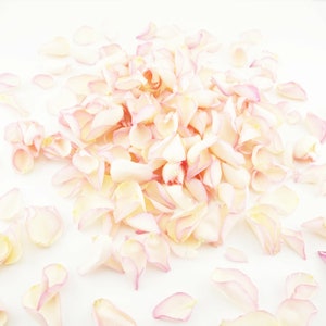 Eco-Friendly Freeze Dried Rose Petal Confetti Dried Flower Petals 100% Natural Wedding Confetti Biodegradable Blushing Bride Pink Cream image 3