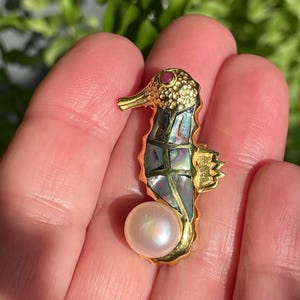 Può includere: Ciondolo a forma di cavalluccio marino dorato con dettagli iridescenti in madreperla e una perla. Il cavalluccio marino ha una piccola gemma rossa sulla testa. Il ciondolo è tenuto in mano su uno sfondo verde sfocato.