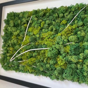 苔のフレーム、「五つの道」、ナチュラルな壁飾り、プリザーブド苔の絵画、室内装飾、生きた壁、ギフトアイデア、オールシーズンの装飾、苔の壁