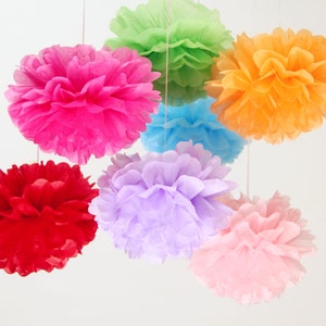 Mexican Paper Flowers Photo Wall Tissue Pom Poms Multicolor Multicolor  Medium Wedding Flowers Set of 10 