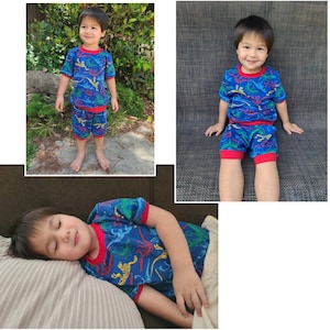 May include: A blue and red pajama set with a dinosaur print. The pajamas feature a short-sleeved shirt and shorts. The boy is wearing the pajamas in three different poses.