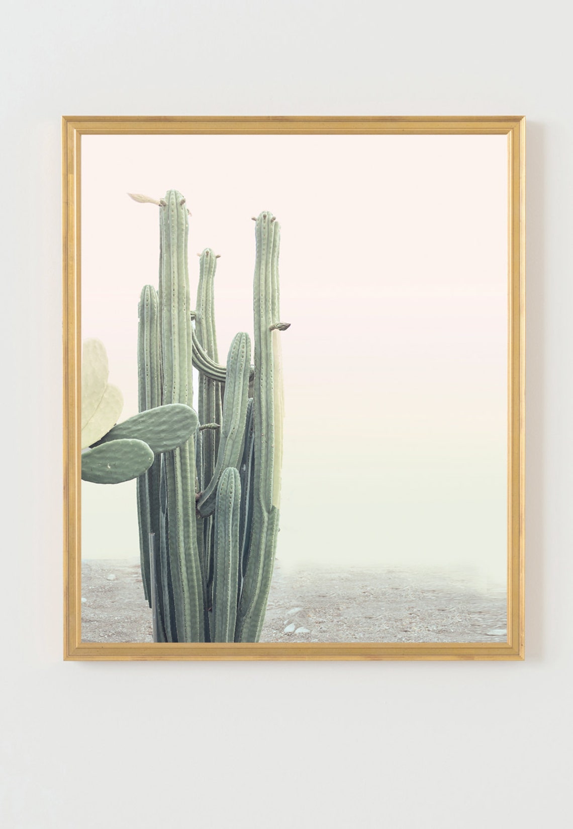 Cactus Print, Cacti Art, Cactus Photo, Minimal Photo, Desert Wall Art ...