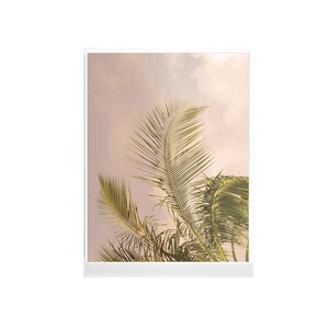 Black and White, Palm Tree Print, Tropical Print, Ocean Print, Palm Print, Beach Wall Art, Minimal Art, Wall Decor, Hawaiian Palm Tree