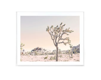 Joshua Tree, Desert Print, Desert Art, Joshua Tree Photo, Joshua Tree Print, Joshua Tree Photography, Desert Art, Cactus Print, JT #3