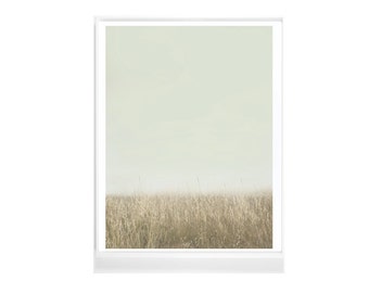 Botanical Print, Botanical Art Print, Floral Wall Art, Botanical Poster, Fine Art Photograph,Modern, Plant Print, Mint Green Field Landscape