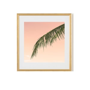 Palm Tree Print, Tropical Print, Palm Photo,Palm Print, Coastal Art, Beach Wall Art, Beach Print, Minimal Art,Wall Decor, Peachy Palm SQUARE