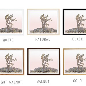 May include: A Joshua Tree in a desert landscape with a pink sky. The image is framed in a white, natural wood, black, light walnut, walnut, or gold frame.