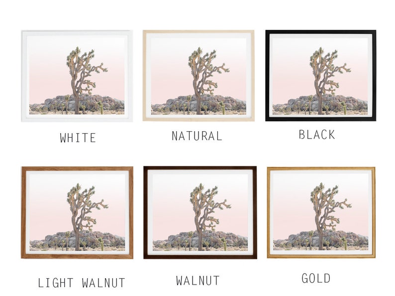May include: A Joshua Tree in a desert landscape with a pink sky. The image is framed in a white, natural wood, black, light walnut, walnut, or gold frame.