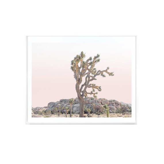 Joshua Tree, Desert Print, Desert Art, Joshua Tree Photo, Joshua Tree Print, Joshua Tree Photography, Desert Photo, Cactus Print,  JT #8