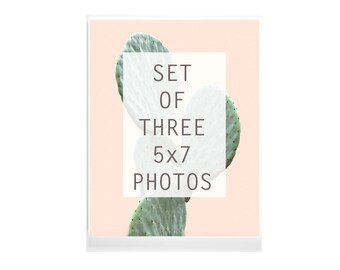 Stampa di cactus,Set di stampa di cactus, Foto di cactus, Fotografia di cactus, Immagine di cactus, Boho Decor, Foto del sud-ovest,Set di stampa scontato di 3 5x7