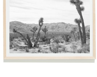 Joshua Tree, Desert Print, Desert Art, Joshua Tree Photo, Joshua Tree Print, Joshua Tree Photography, Desert Art, Cactus Print,  JT #4 BW