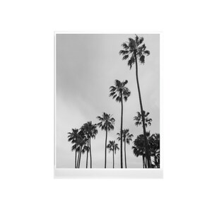 Palm Tree Print, Tropical Print, Ocean Print, Palm Print, Beach Wall Art, Beach Print, Minimal Art, Wall Decor, Los Angeles Palm Trees