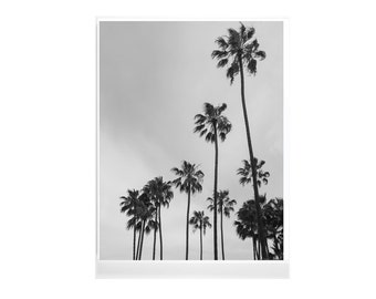 Palm Tree Print, Tropical Print, Ocean Print, Palm Print, Beach Wall Art, Beach Print, Minimal Art, Wall Decor, Los Angeles Palm Trees