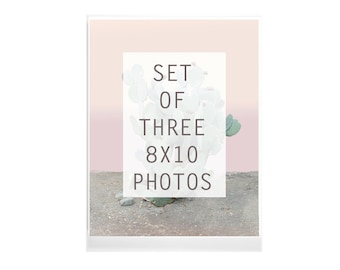Cactus Set stampa di fotografie, stampe di Cactus, Cactus foto, parete sud-ovest, fotografie del deserto, verde e Blush rosa deserto Art