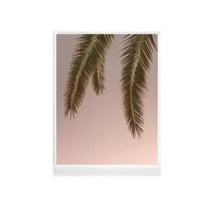 Palm Tree Print, Tropical Print,  Tropical Decor, Palm Print, Beach Wall Art, Beach Print, Minimal Art, Wall Decor, Stormy Palm No.2