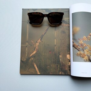 Tortoise shell trendy sunnies women