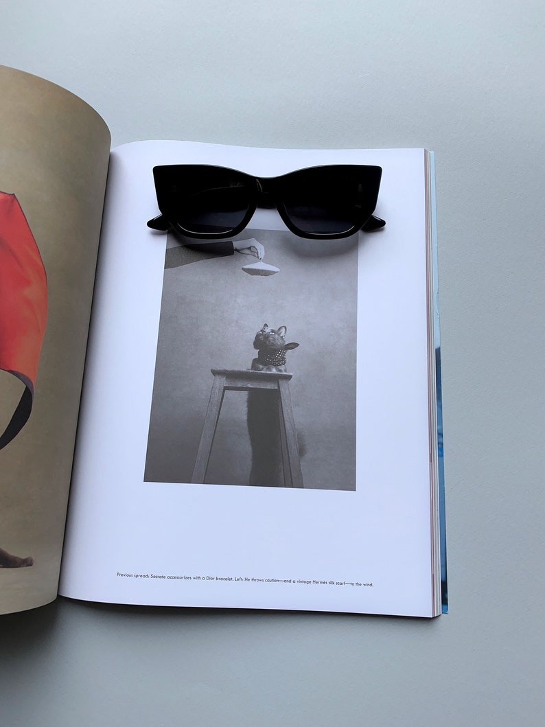 Cat Eye Rectangle Sunglasses Women With Polarized Lenses UV400 Etsy