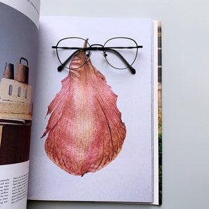 spectacle frame women